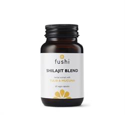 Shilajit Wholefood Extra Strength 500mg - Image 2