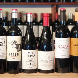 New Wave La Mancha Spanish Wine Discovery Mixed Case – 6 x 75cl