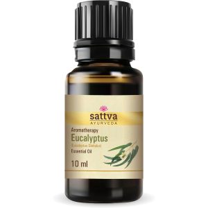 Eucalyptus Essential Oil 10 ml