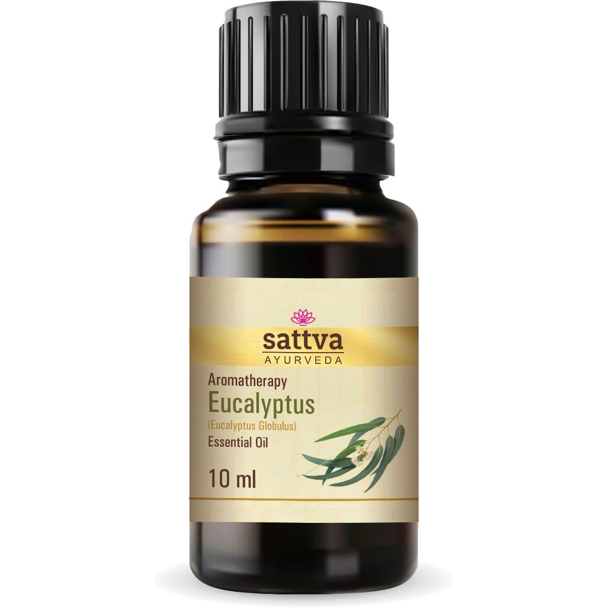 Eucalyptus Essential Oil 10 ml - Image 2